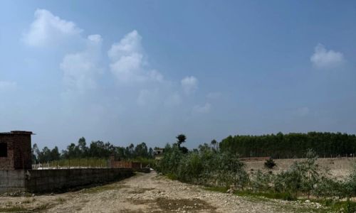 Nature Green Satpura